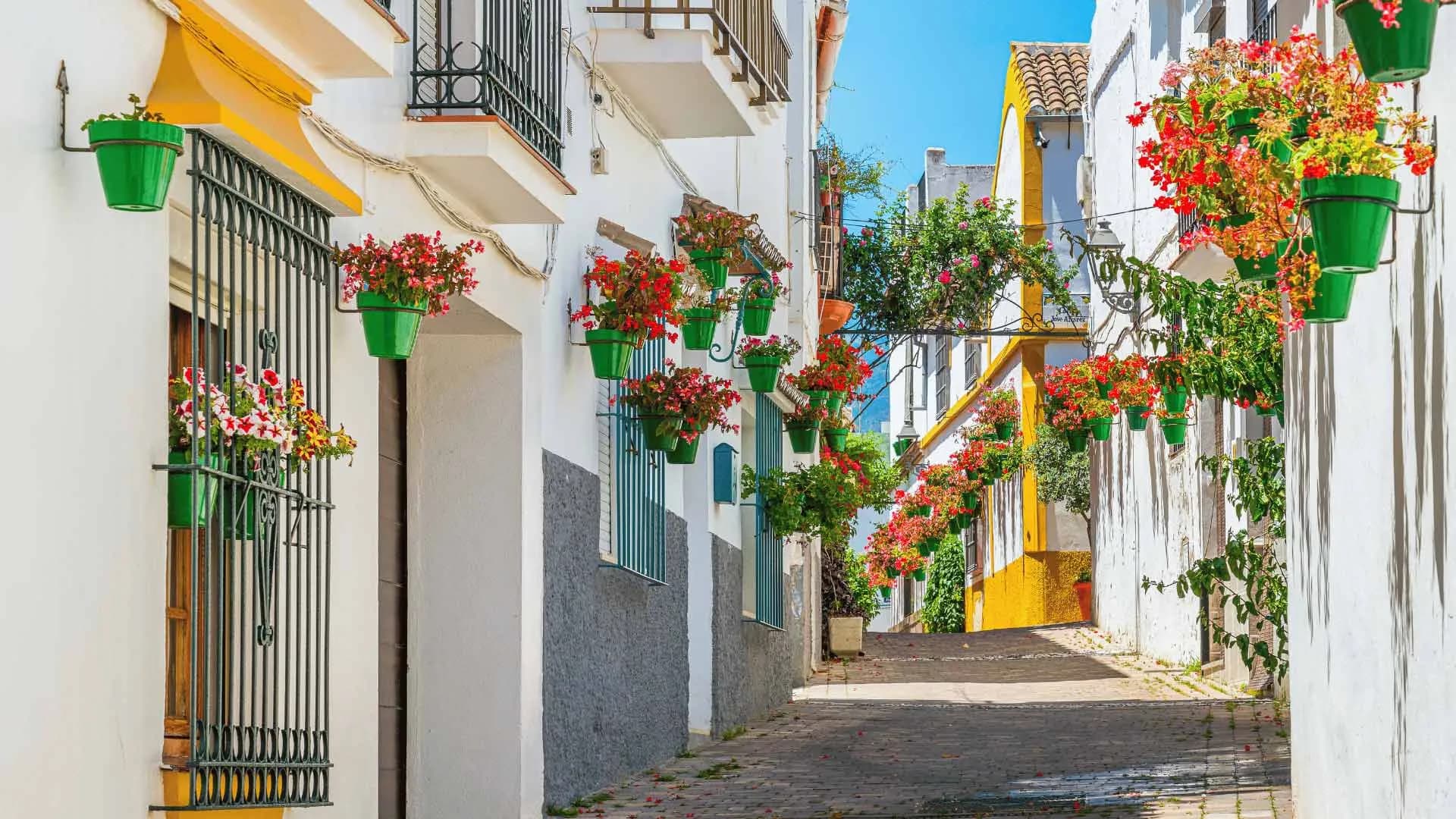 Maratón Estepona 3