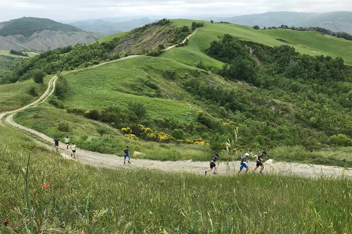 Bologna Marathon in Trail 2