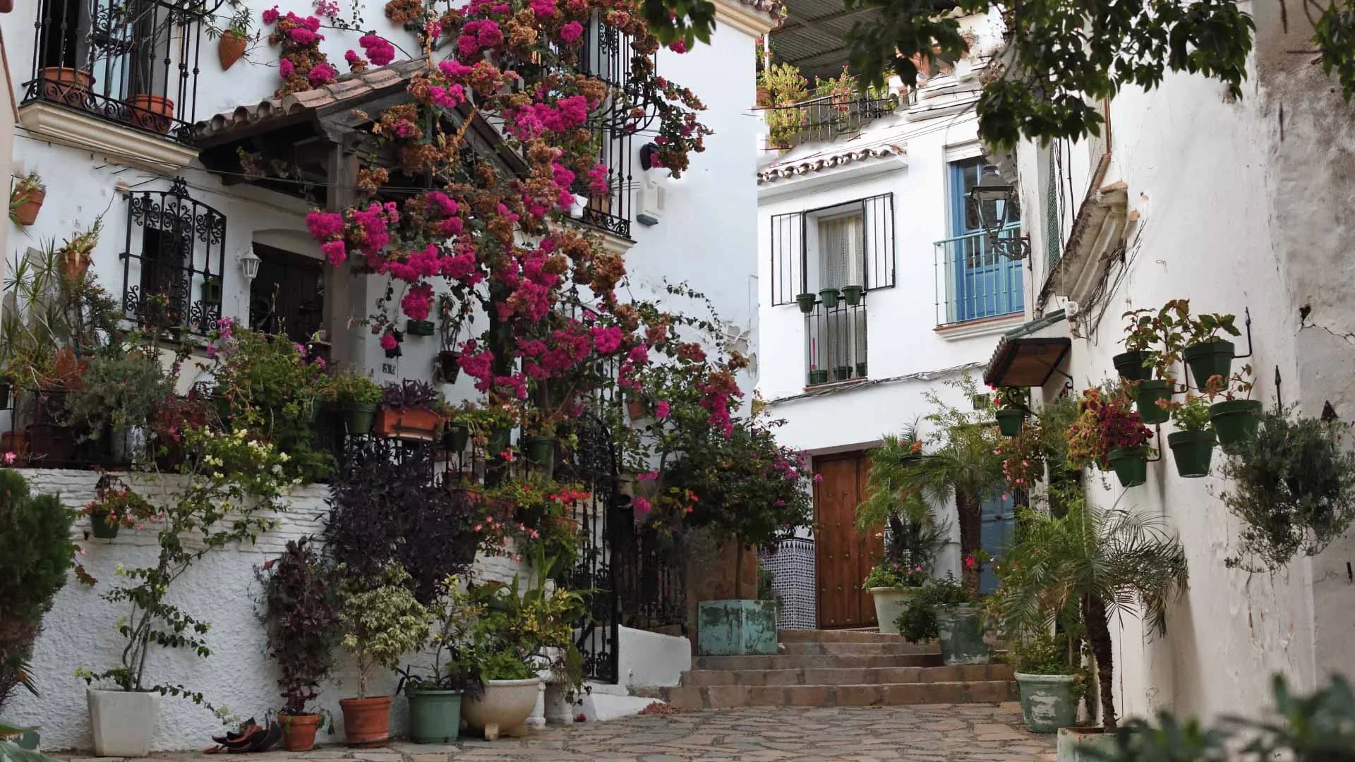 Maratón Estepona